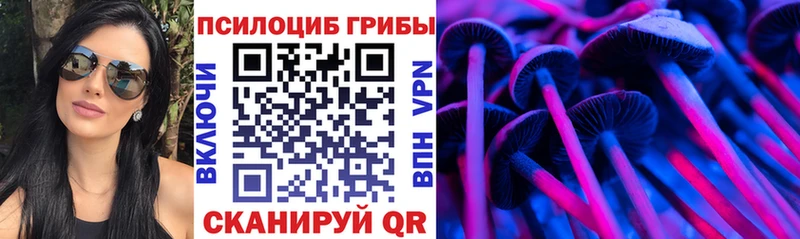 Галлюциногенные грибы Psilocybe  дарк нет официальный сайт  Ардон  ссылка на мегу ССЫЛКА 